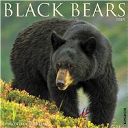 Black Bears 2018 Calendar