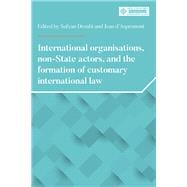 International Organizations and Non-state Actors and the Formation of Customary International Law