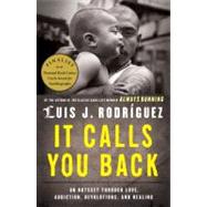 It Calls You Back : An Odyssey Through Love, Addictions, Revolutions, and Healing