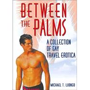 Between the Palms : A Collection of Gay Travel Erotica