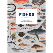 The Fishes of New Zealand A Comprehensive Guide