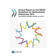 Annual Report on the Oecd Guidelines for Multinational Enterprises 2013: Responsible Business Conduct in Action