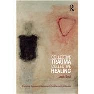 Collective Trauma, Collective Healing: Promoting Community Resilience in the Aftermath of Disaster
