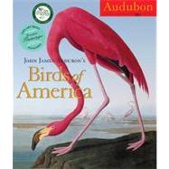 John James Audubon's Birds of America 2011 Calendar