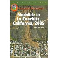 Mudslide In Conchita, California, 2005