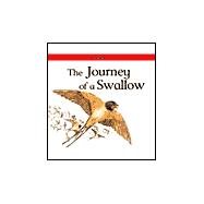 The Journey of a Swallow