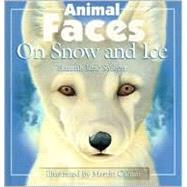 Animal Faces on Snow and Ice