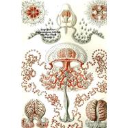 Ernst Haeckel Anthomedusae Jellyfish