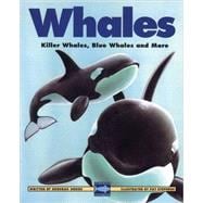 Whales Killer Whales, Blue Whales and More