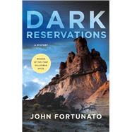 Dark Reservations A Mystery