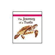 The Journey of a Turtle