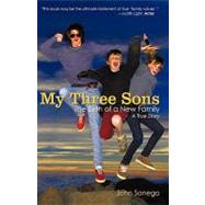 My Three Sons : The Birth of a New Family