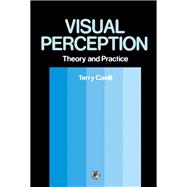 Introduction to Modern Approaches in Visual Perception