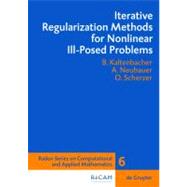 Iterative Regularization Methods For Nonlinear Ill-Posed Problems
