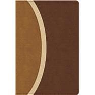 CSB Rainbow Study Bible, Brown LeatherTouch (Limited Edition),9798384534211
