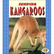 Jumping Kangaroos