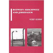 Between Auschwitz and Jerusalem Jewish Collective Identity in Crisis
