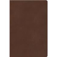 CSB Rainbow Study Bible, Brown LeatherTouch, Indexed