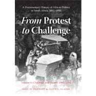 From Protest to Challenge