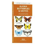 Alaska Butterflies & Moths A Folding Pocket Guide to Familiar Species