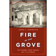 Fire in the Grove : The Cocoanut Grove Tragedy and Its Aftermath