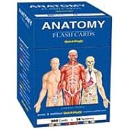 Anatomy Flash Cards