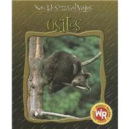 Ositos/Little Bears