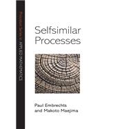 Selfsimilar Processes