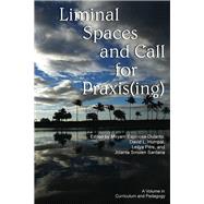 Liminal Spaces and Call for Praxising