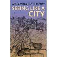 Seeing Like a City