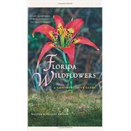 Florida Wildflowers