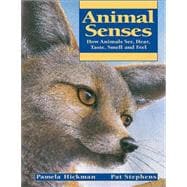 Animal Senses How Animals See, Hear, Taste, Smell and Feel