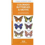 Colorado Butterflies & Moths A Folding Pocket Guide to Familiar Species