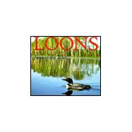 Loons : Song of the Wild