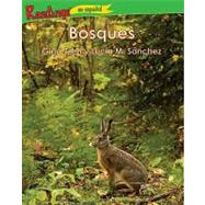 Bosques : This Is a Forest