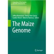 The Maize Genome