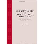 Current Issues in Constitutional Litigation