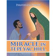 Miracle in Tepeyac Hill