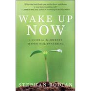 Wake up Now : A Guide to the Journey of Spiritual Awakening