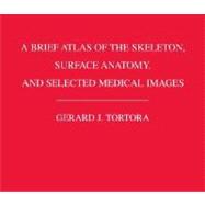 A Brief Atlas of the Skeleton Surface Anatomy, and Selected Medical Images, 1st Edition