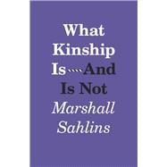 What Kinship Is - and Is Not