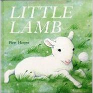 Little Lamb