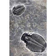 Trilobyte Fossil Journal