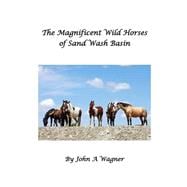 The Magnificent Wild Mustangs of Sand Wash Basin