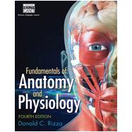 Fundamentals of  Anatomy and Physiology