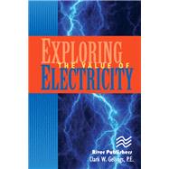 Exploring the Value of Electricity