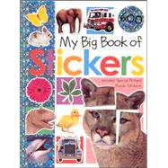 My Big Book of Stickers : Includes Special Picture Puzzle Stickers
