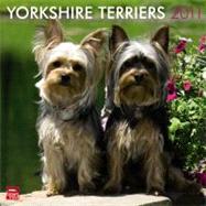 Yorkshire Terriers 2011 Calendar