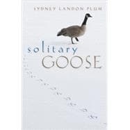 Solitary Goose