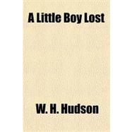 A Little Boy Lost